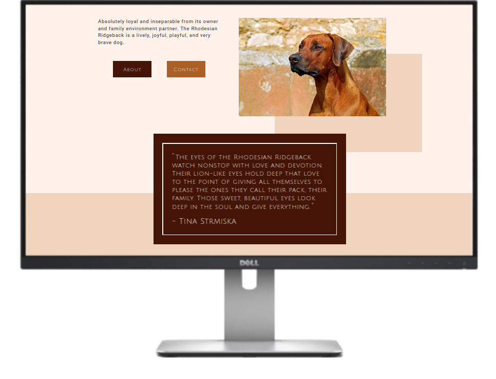 BWK Ridgebacks on desktop view