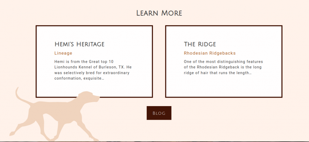A section of our website that shows a silhouette of a Rhodesian Ridgeback walking across the page.
