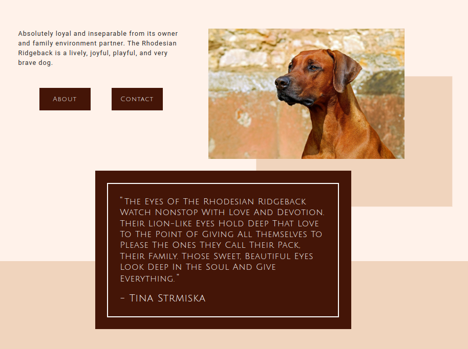 A section of our new website for Rhodesian Ridgebacks describing the nature of the dog.