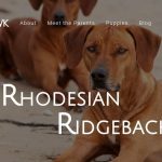 BWK Rhodesian Ridgebacks
