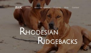 BWK Rhodesian Ridgebacks