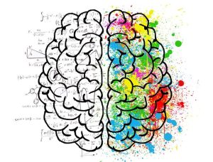 brain drawing- left brain analytical; right brain creative.